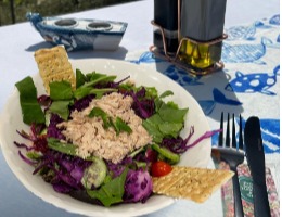 Ton Balıklı Salata